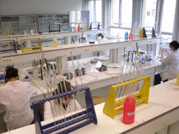 image_STL_biochimie_génie_biologique